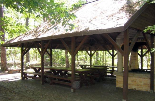 Sekocin Lesna Polana Bed & Breakfast エクステリア 写真
